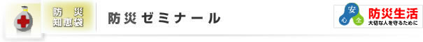 hЃ[~i[